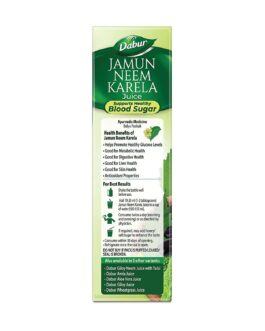 Dabur Jamun Neem Karela Juice