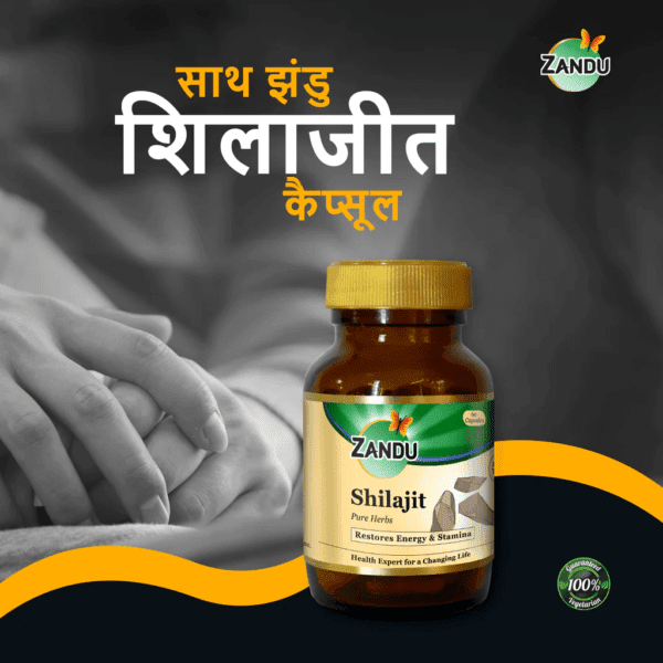 Zandu Shilajit Capsule